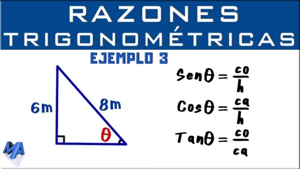 Los Ángulos del Triángulo Rectángulo y su Cálculo | TODO CALCULADORAS