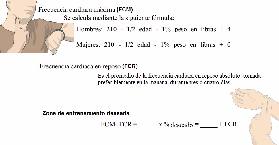 ¿Cómo se calcula la fórmula FC?