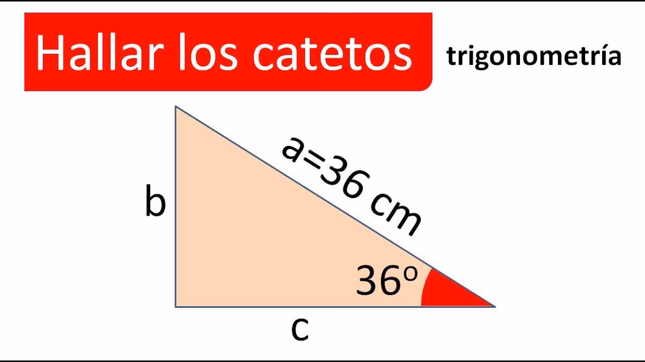 ¿Cómo hallar el cateto opuesto?
