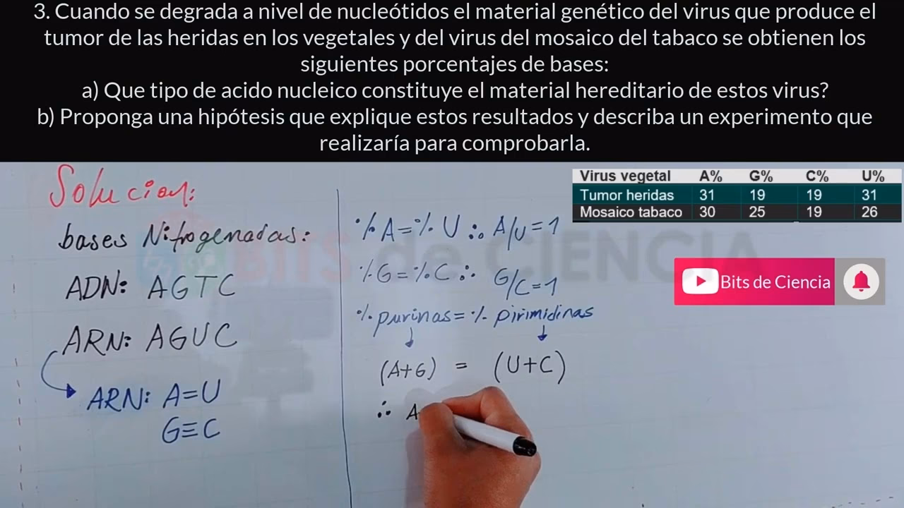 ¿Cómo calcular la cantidad de ADN?