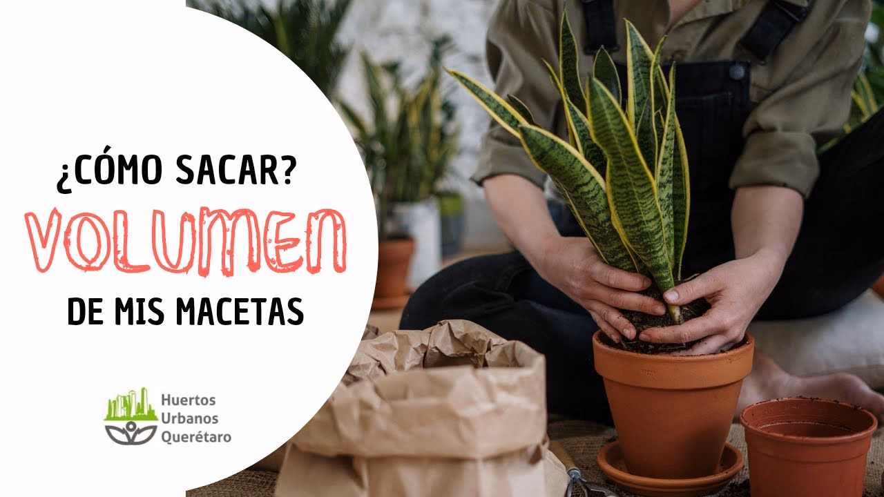 ¿Cómo calcular los litros de una maceta?