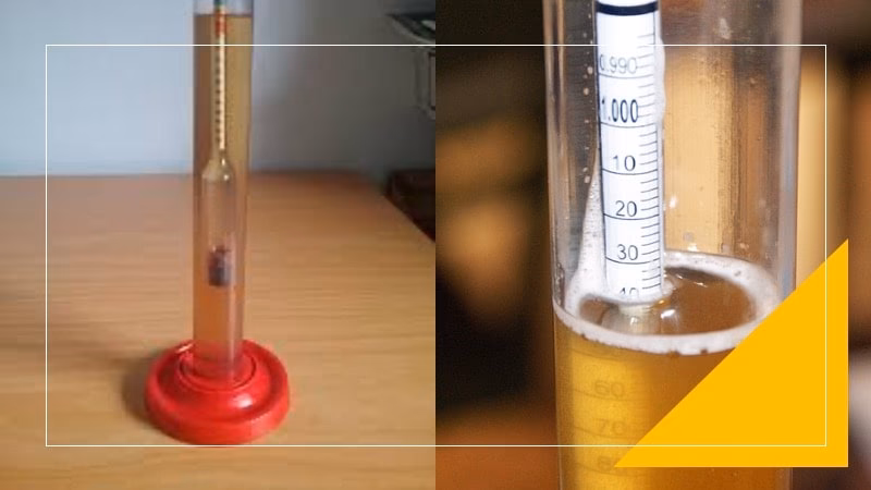 ¿Cuál es la densidad inicial de la cerveza?