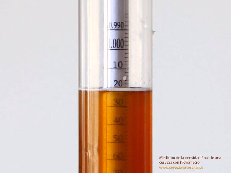 ¿Cuál es la densidad inicial de la cerveza?