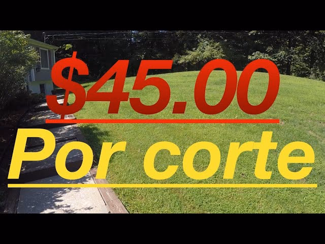 ¿Cuánto vale una hectárea de pasto de corte?