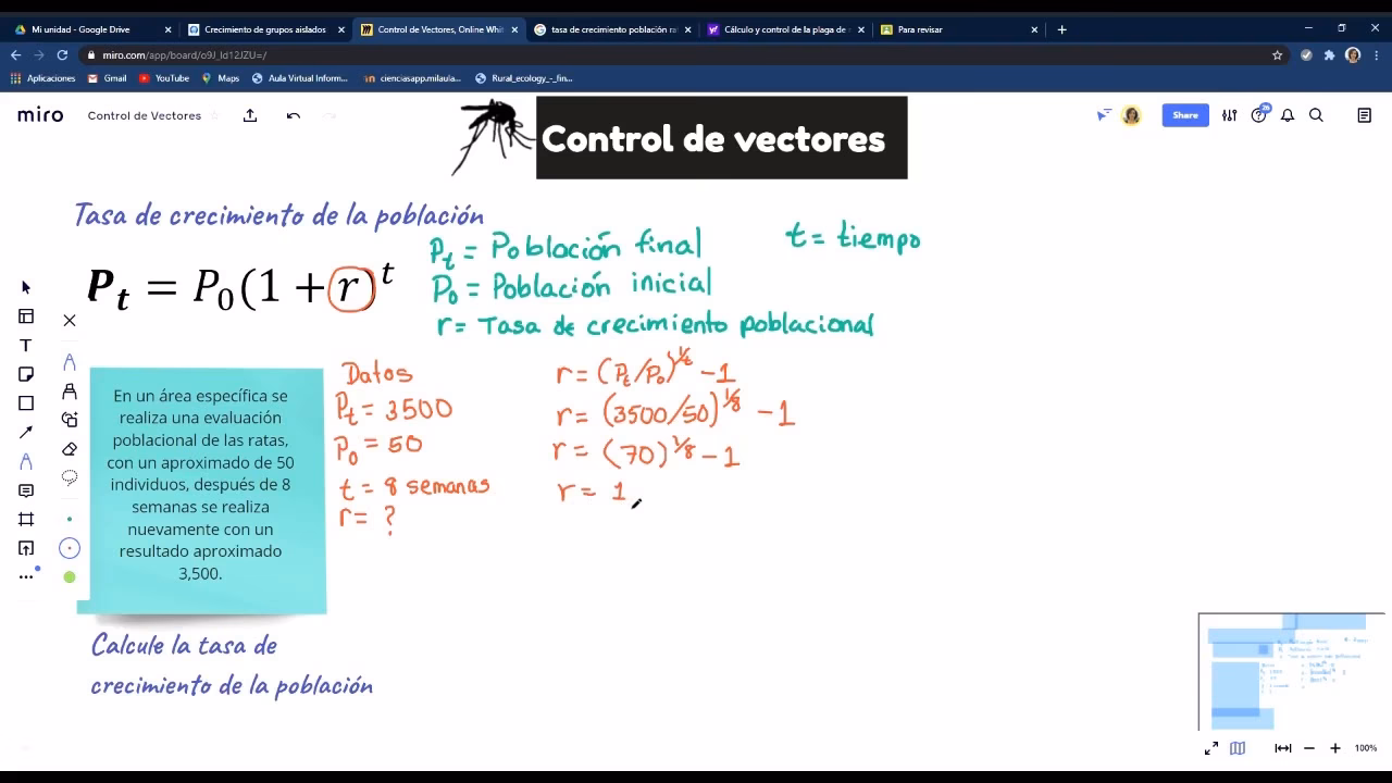 ¿Cómo se mide el crecimiento demográfico?