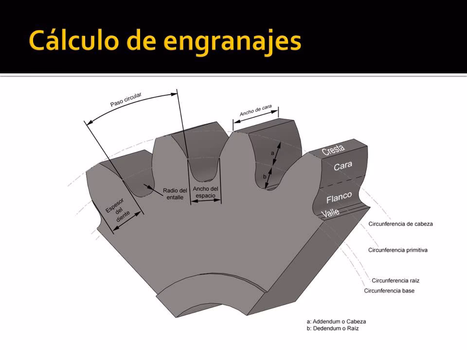 ¿Cómo calcular el espesor del diente?