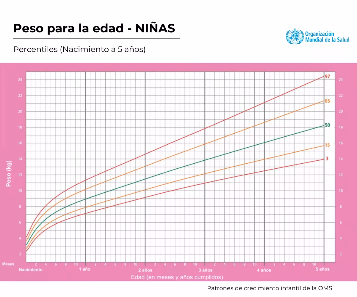 ¿Cómo se mide el percentil en el embarazo?