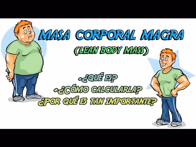 ¿Qué es la masa magra y cómo se calcula?