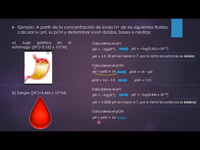 ¿Cómo calcular el pH de la sangre?