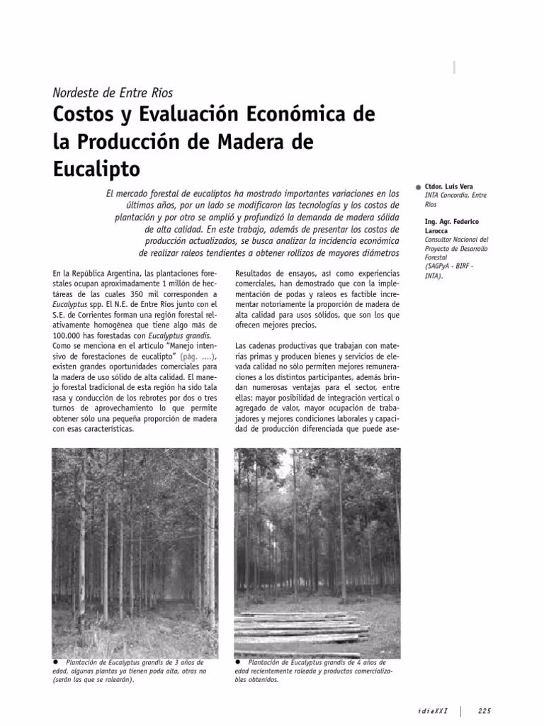 ¿Cuánto se paga por una hectárea de eucalipto?