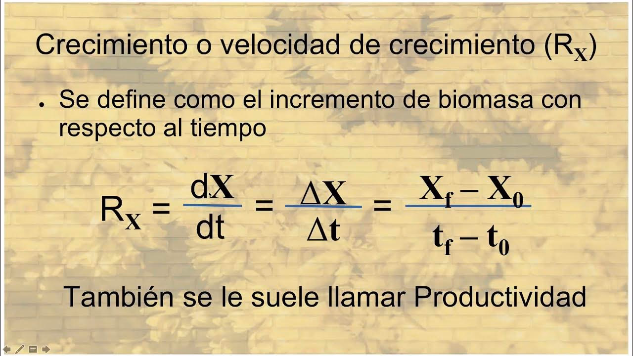 ¿Qué es el potencial de biomasa?