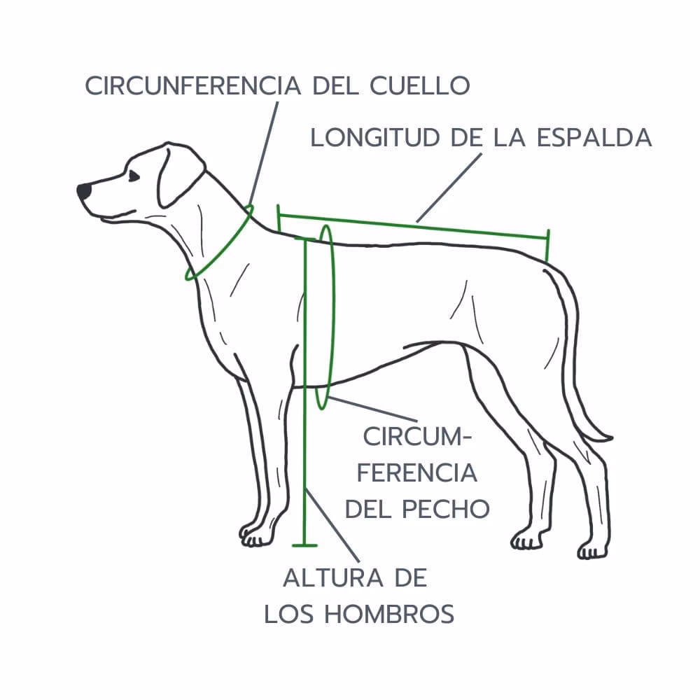 ¿Cómo puedo saber qué talla es mi perrita?