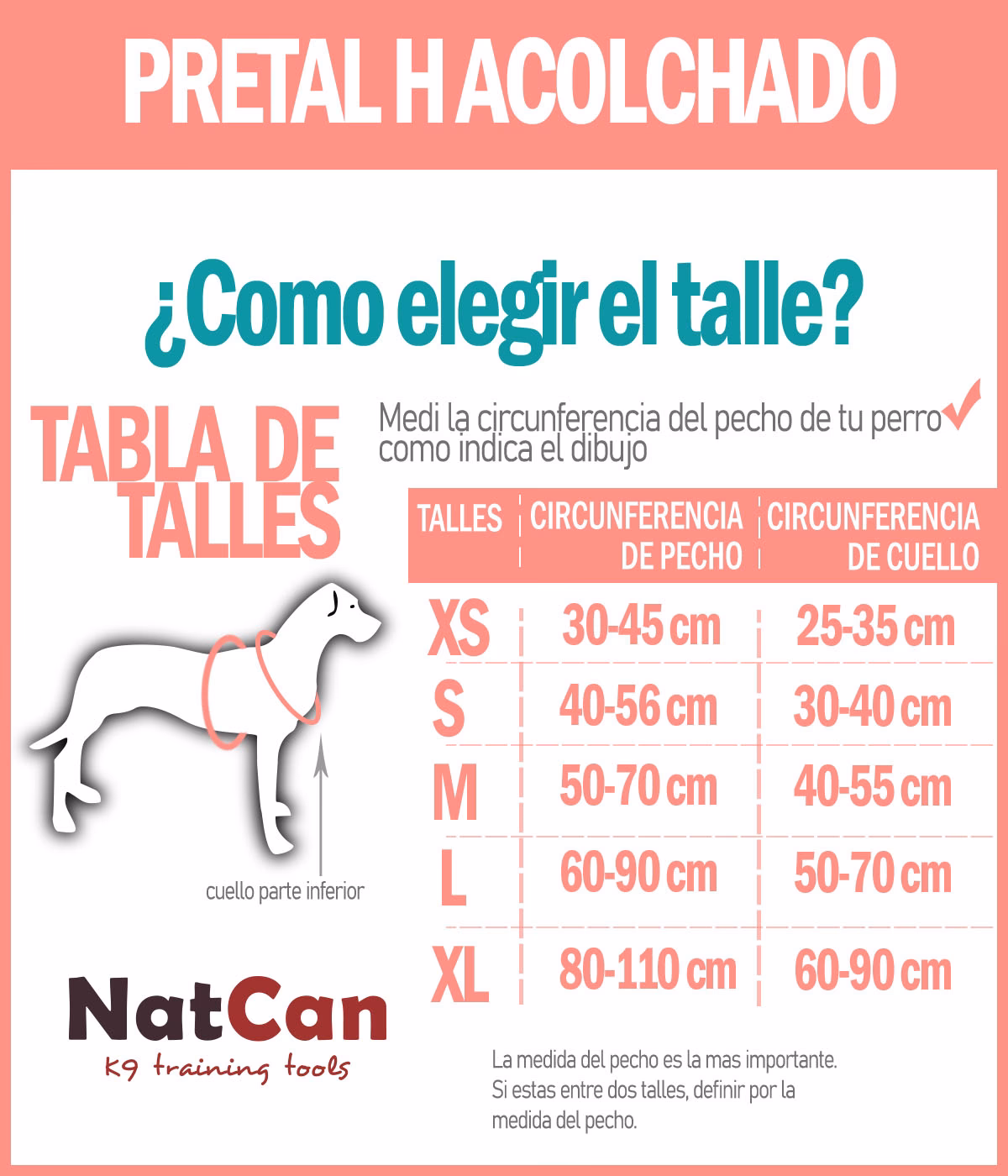 ¿Cómo puedo saber qué talla es mi perrita?