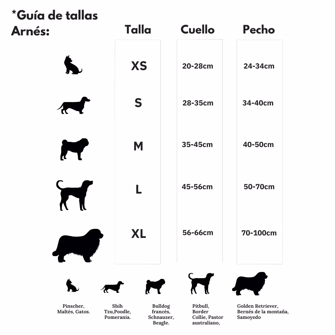 ¿Cómo saber cuál será el tamaño de mi perro?