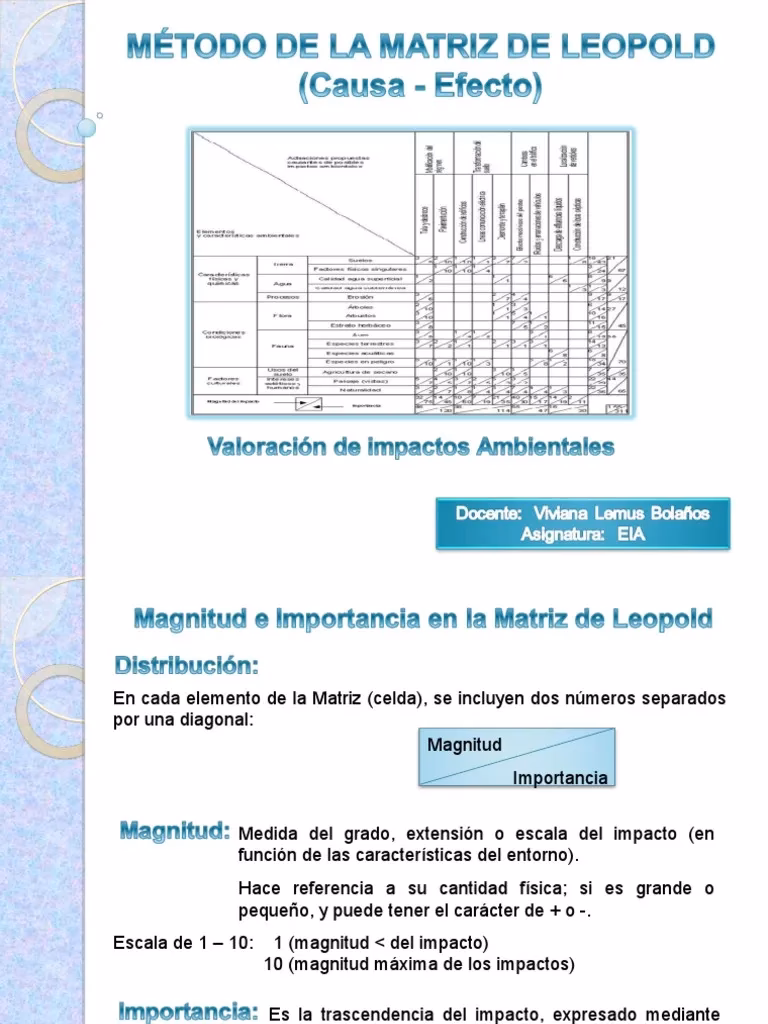 ¿Cómo se califica la matriz de Leopold?