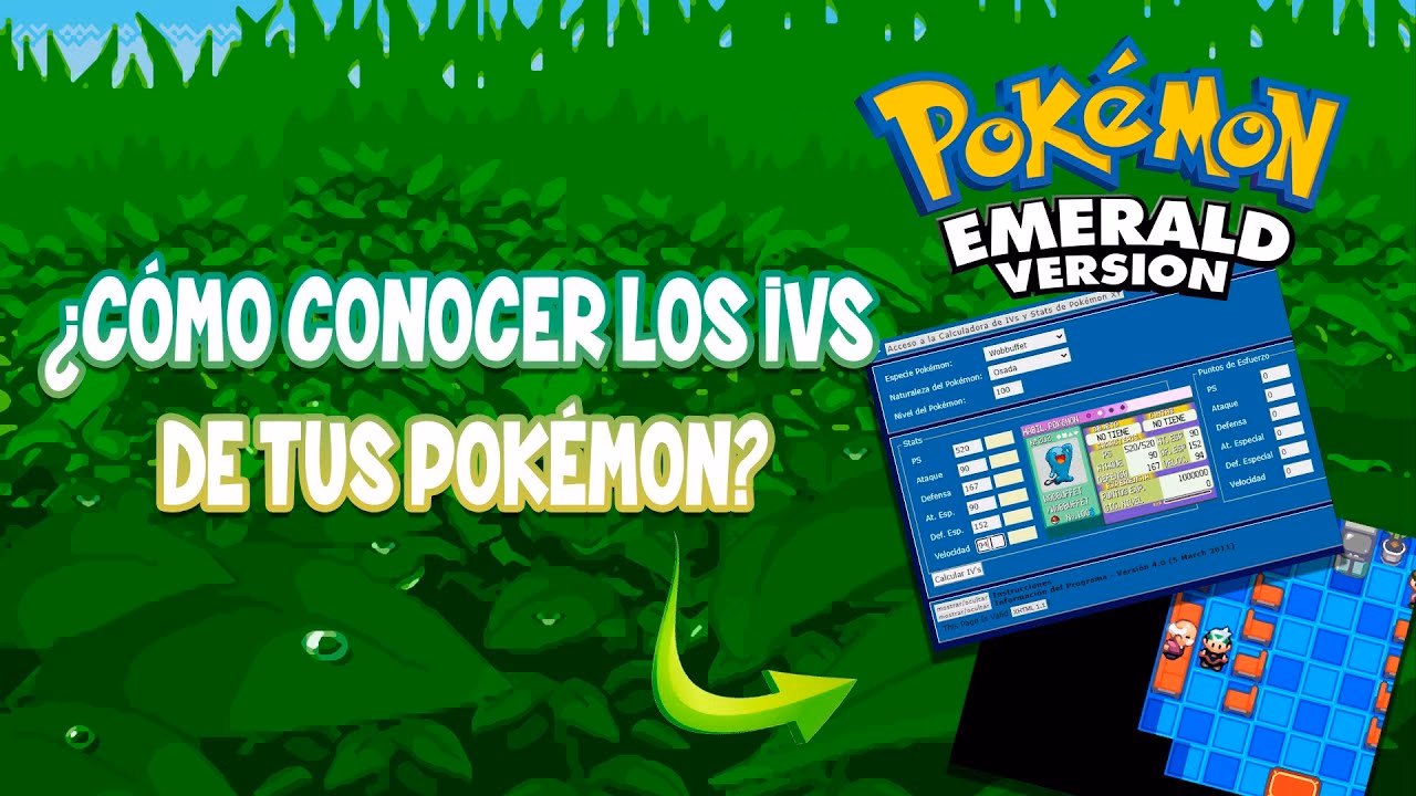 ¿Cómo puedo saber cuántos EVs tiene un Pokémon?