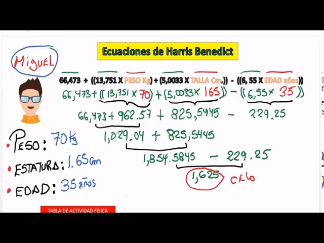 ¿Cuál es la fórmula para calcular el gasto energético?