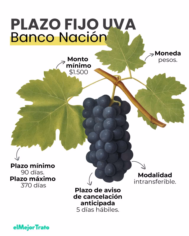 ¿Cómo se ajustan los plazos fijos UVA?