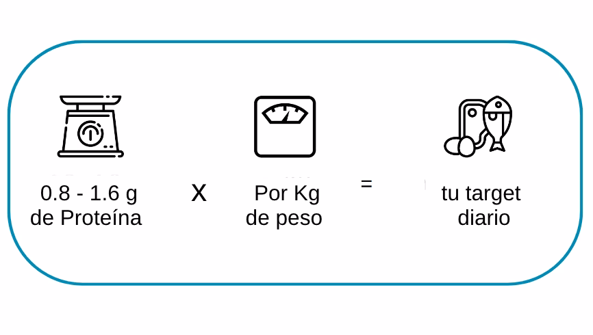 ¿Cómo calcular la actividad de una proteína?