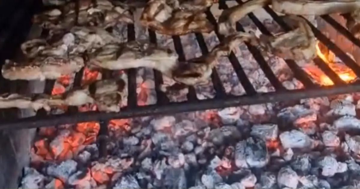 ¿Cuánto carbón se necesita para una carne asada?