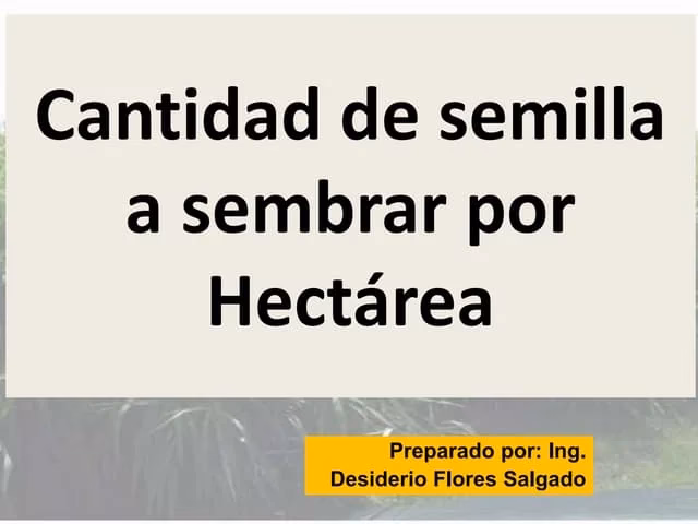 ¿Qué cantidad de semillas se recomienda por hectárea?