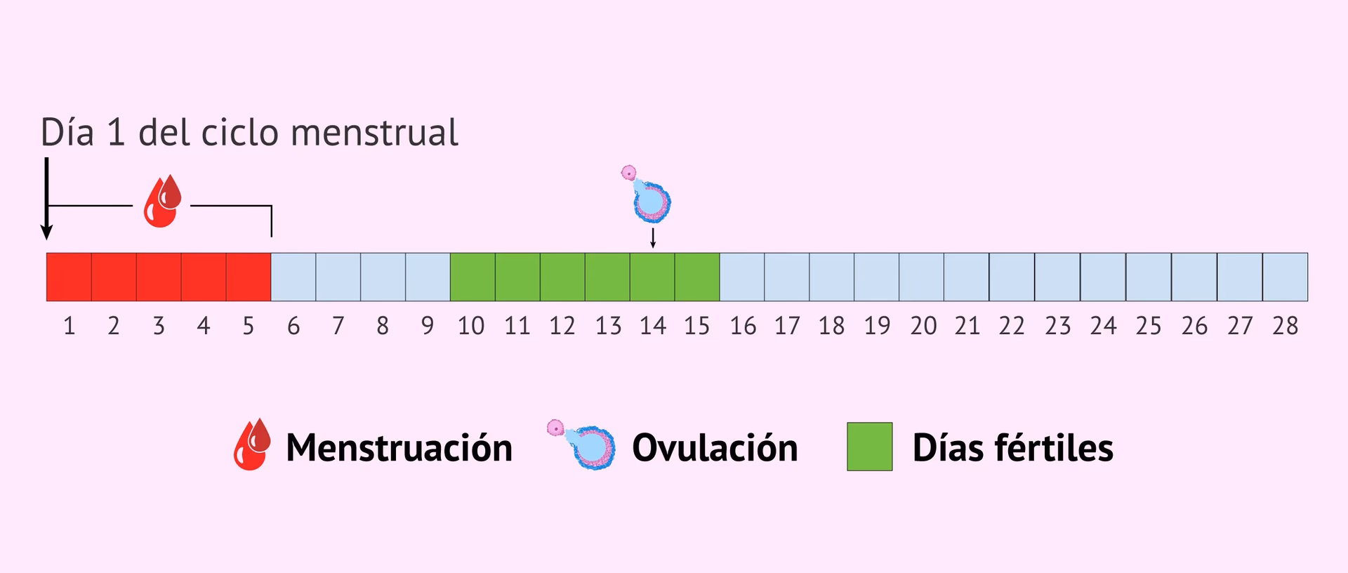 ¿Es normal que mi menstruación se retrase después de dejar de usar anticonceptivos?