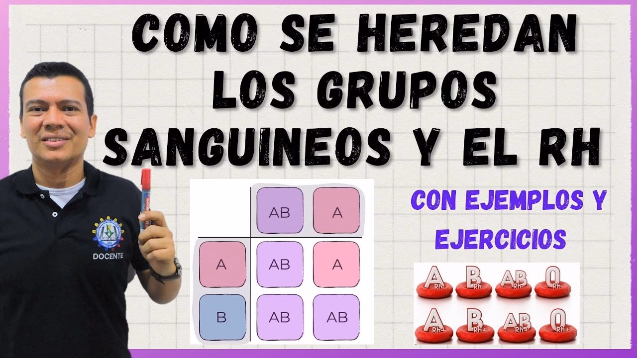 ¿Cómo se determina la paternidad por el tipo de sangre?