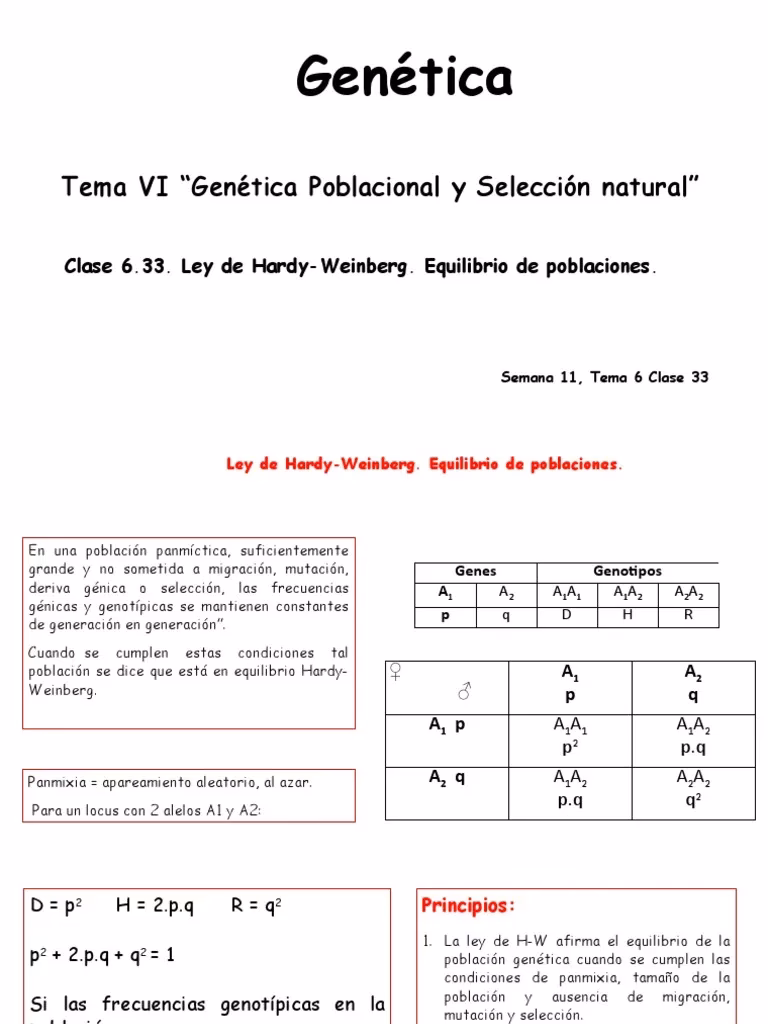 ¿Cuál es la fórmula para calcular la frecuencia alélica?
