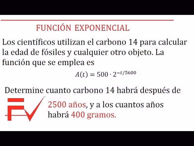 ¿Cómo se calcula el tiempo de un fósil?