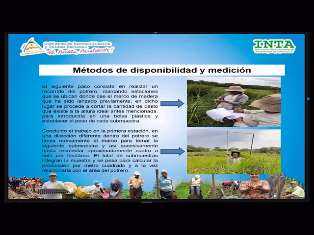 ¿Cómo se estima el rendimiento del forraje?