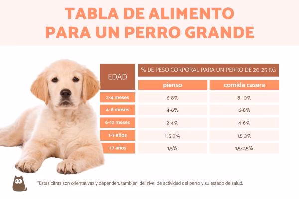 ¿Cómo se formulan las raciones para animales?