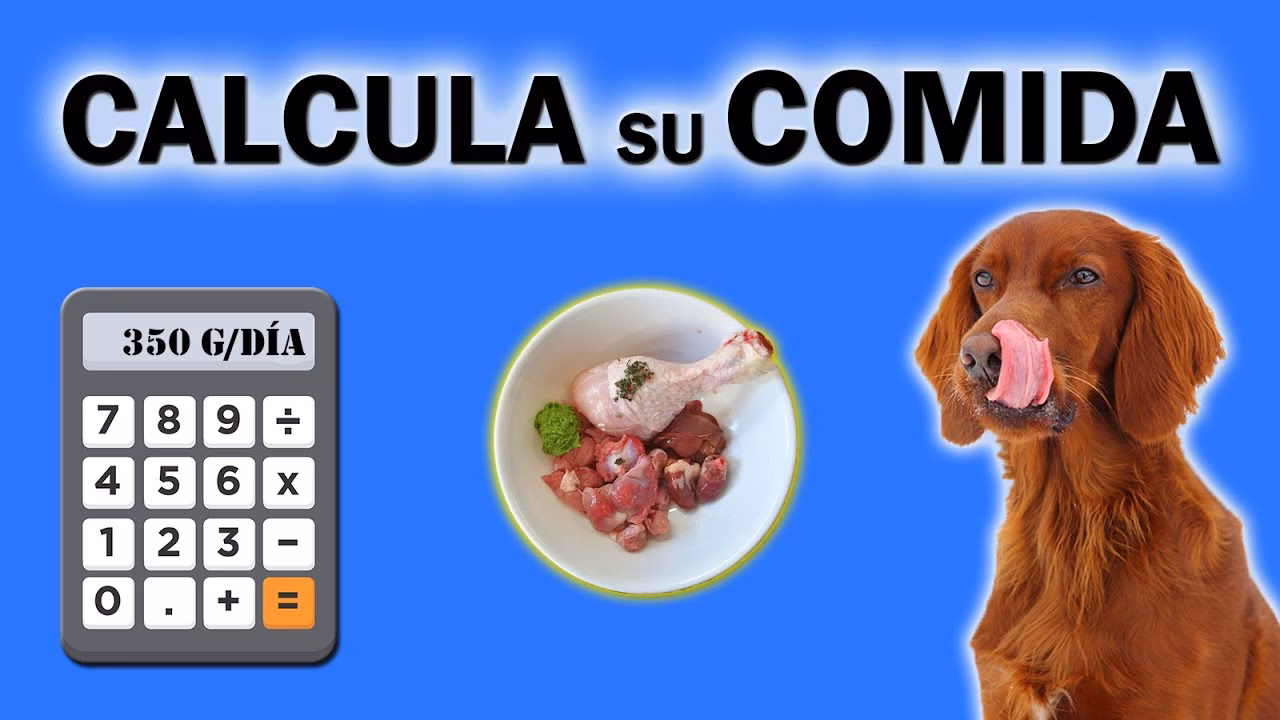 ¿Cuál es la formulación de la ración del ganado?