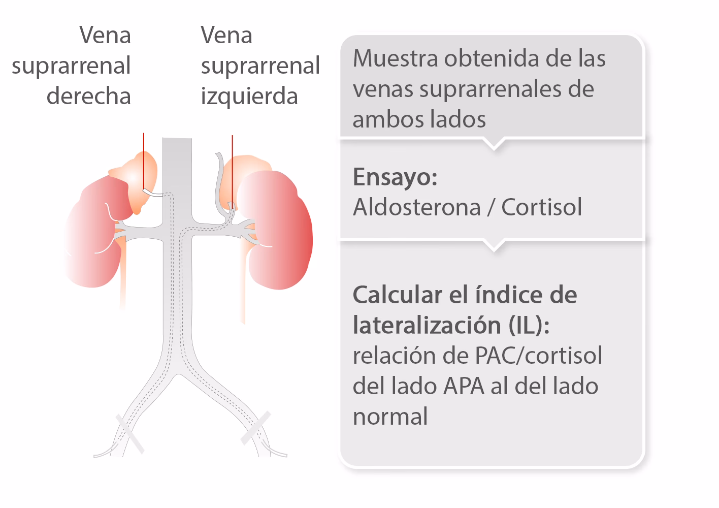 ¿Cómo calcular la calculadora de relación aldosterona renina?