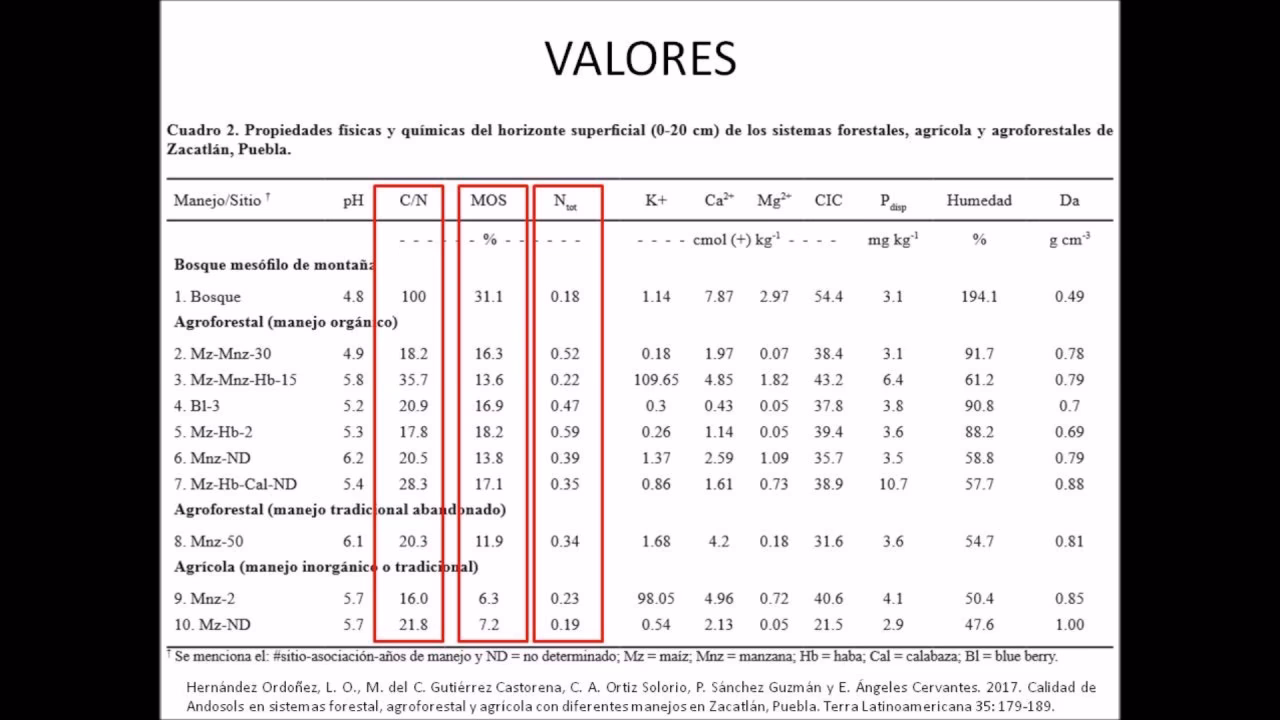 ¿Cuál es la relación CN de la orina?