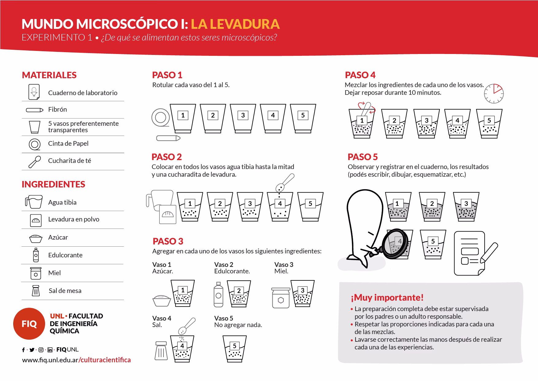 ¿Cómo contar levaduras y mohos?