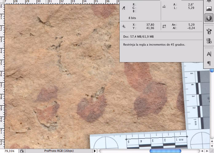 ¿Cómo medir el tamaño en la foto?