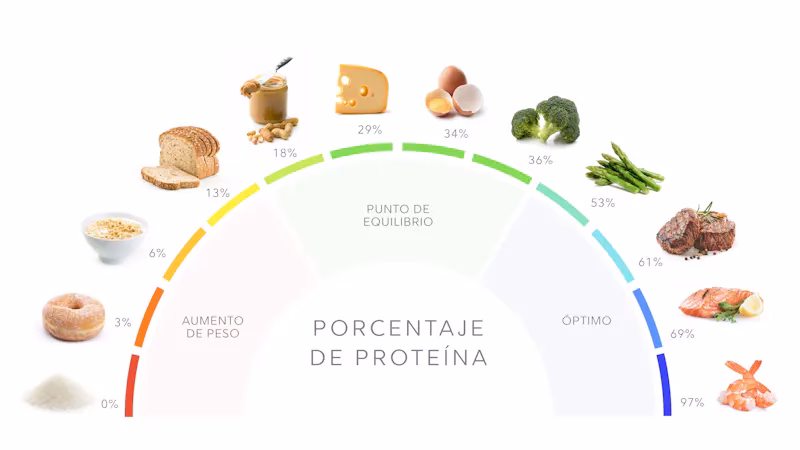 ¿Cómo puedo calcular la cantidad de proteína en un alimento?