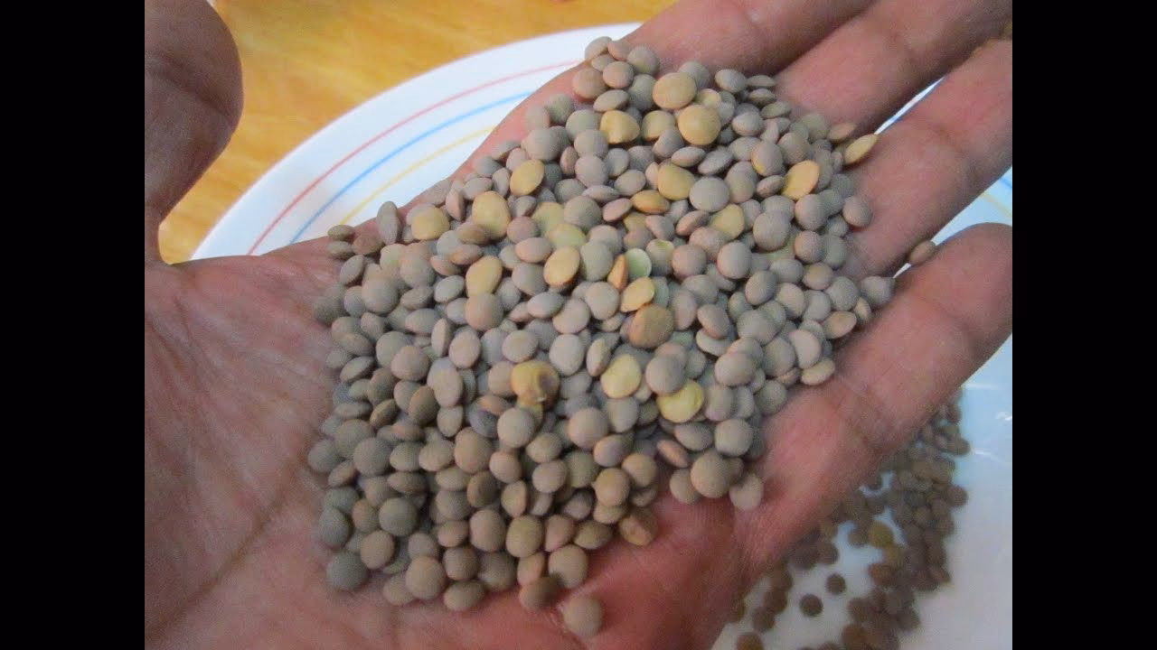 ¿Cuántas lentejas por persona puñados?