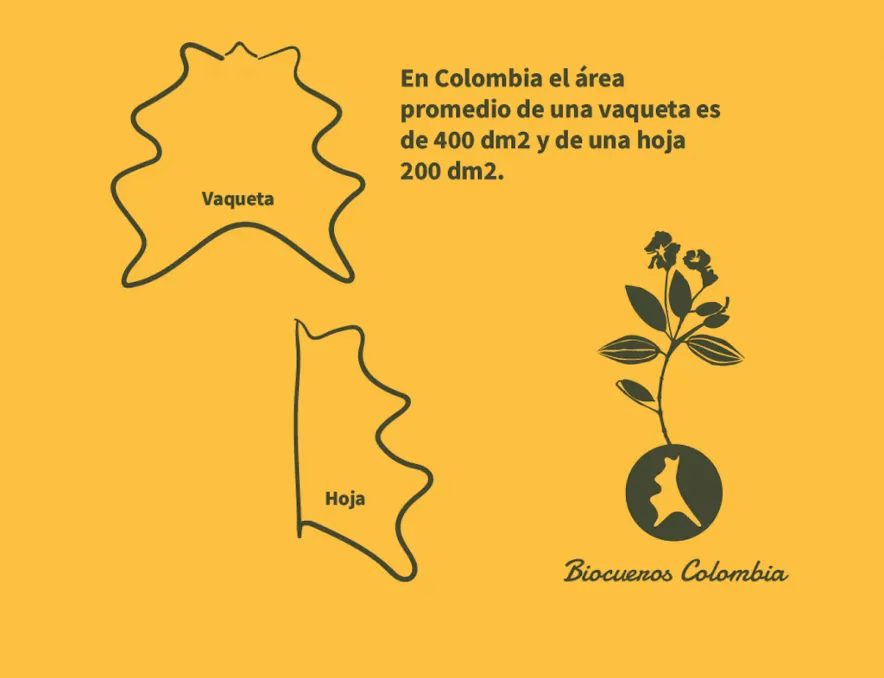 ¿Cómo medir el tamaño del cuero?