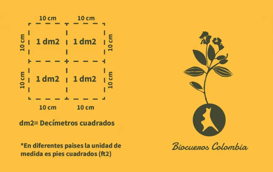 ¿Cómo se mide el cuero?