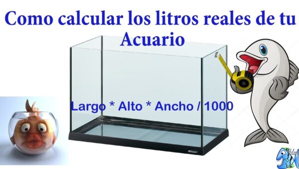 Calcula los Litros de tu Pecera: Guía Completa | TODO CALCULADORAS