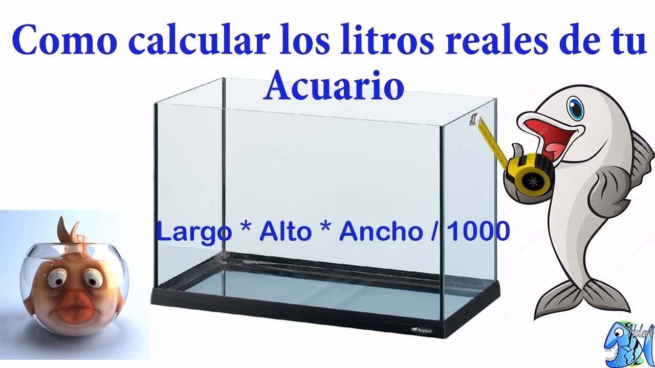 ¿Cuántos litros tiene una pecera de 40x30x20?