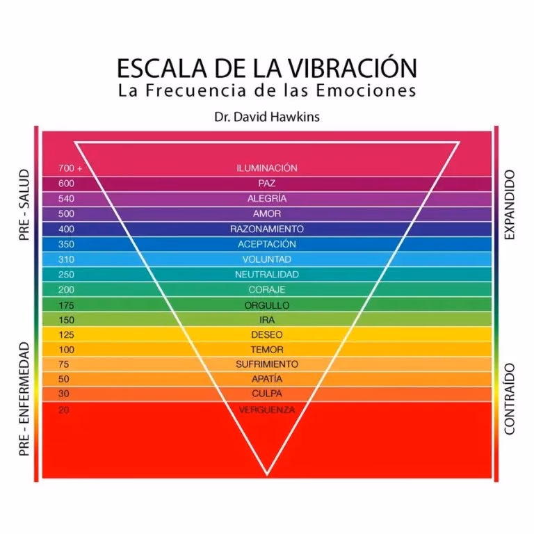 ¿Cómo se miden los niveles de conciencia?