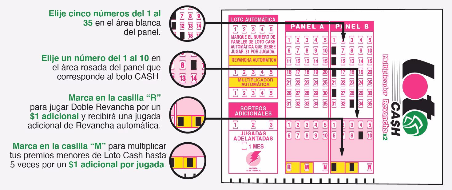 ¿Qué números siempre salen en el Loto?