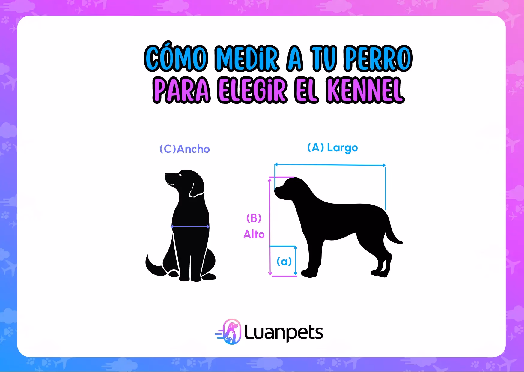¿Cuánto mide una cucha de perro?