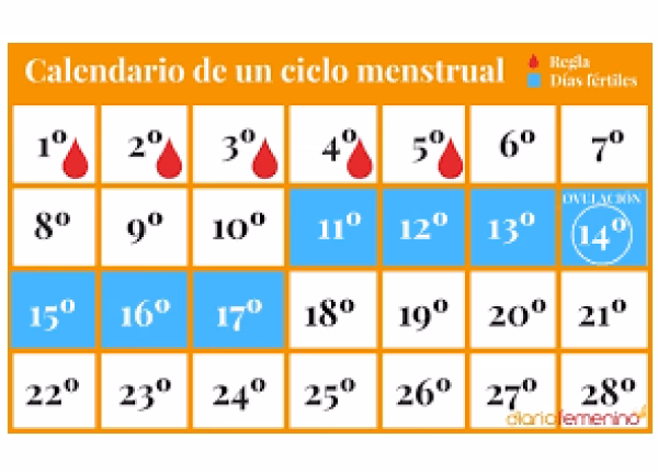 ¿Cómo puedo saber cuál es mi día más fértil para embarazarme?