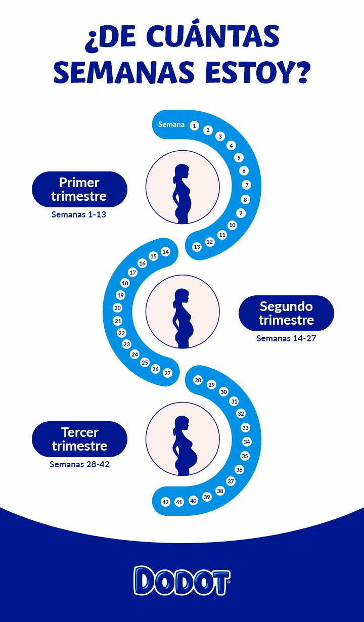 ¿Cuántas semanas de embarazo tengo después del sangrado de implantación?