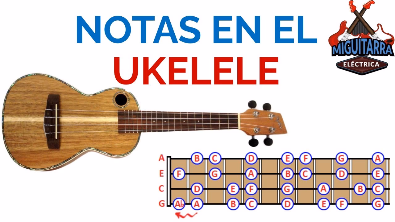 ¿A qué distancia deben estar los trastes?