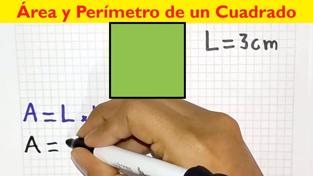 ¿Cómo calcular el perímetro en metros cuadrados?