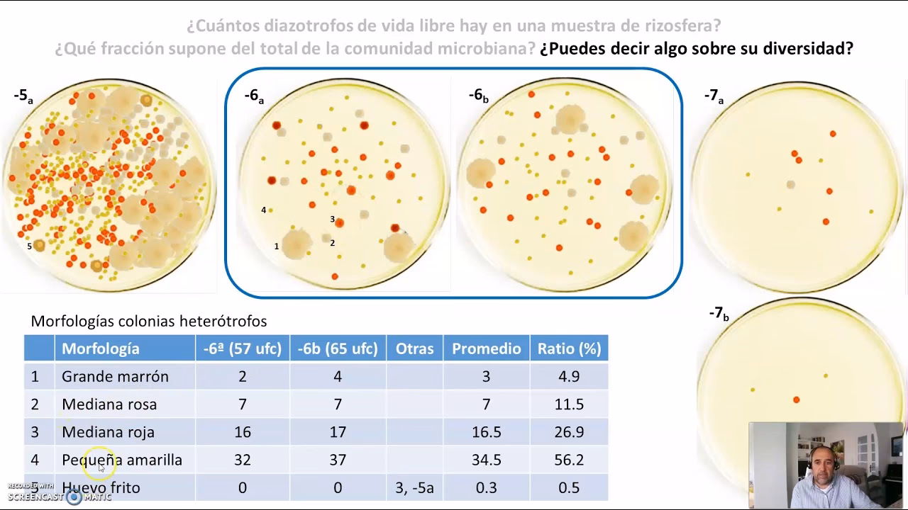 ¿Cómo se calculan las UFC?